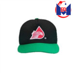 Gorra Nivel 2